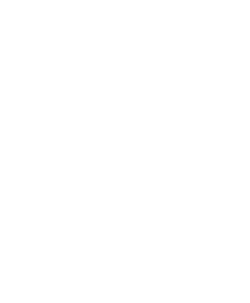 graphic4